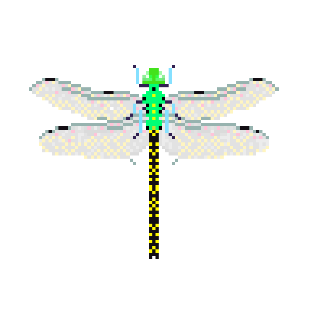 NFT 1