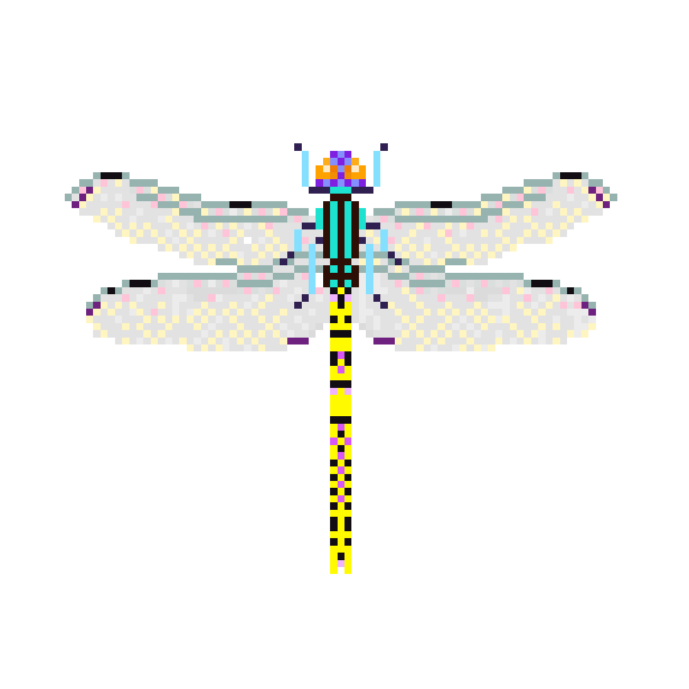NFT 10