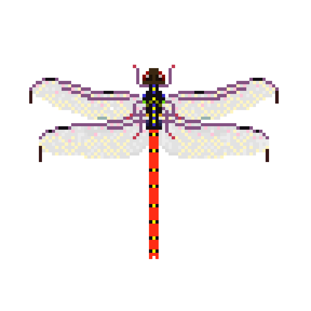 NFT 3
